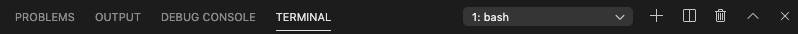 BASH shell selected in the terminal window navigation bar.