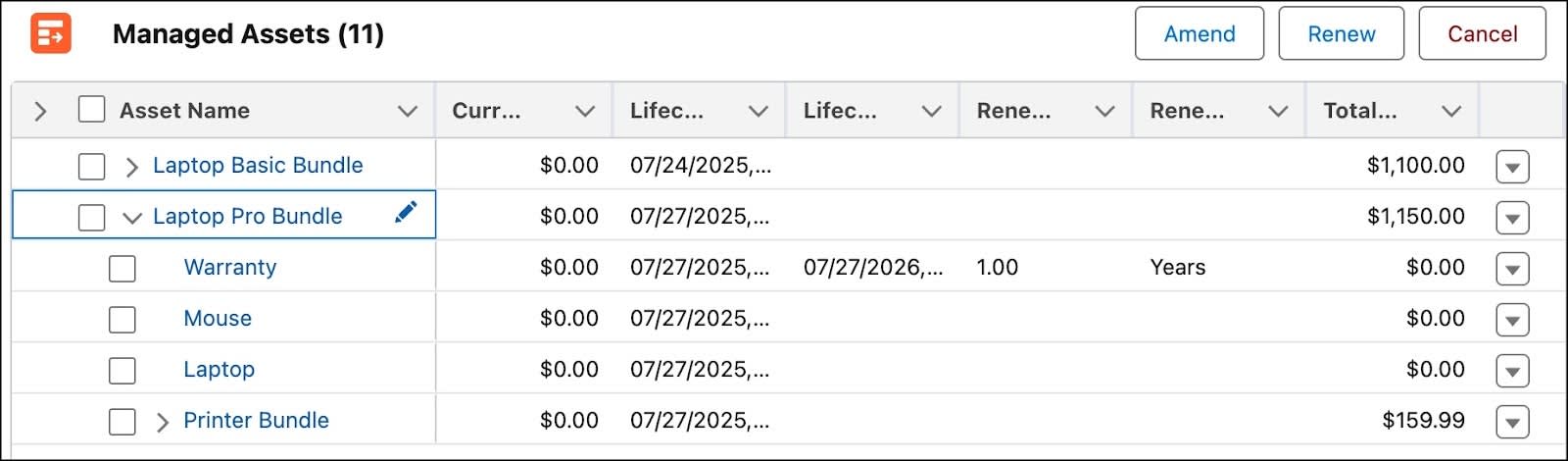 The Laptop Pro Bundle product added as managed assets.