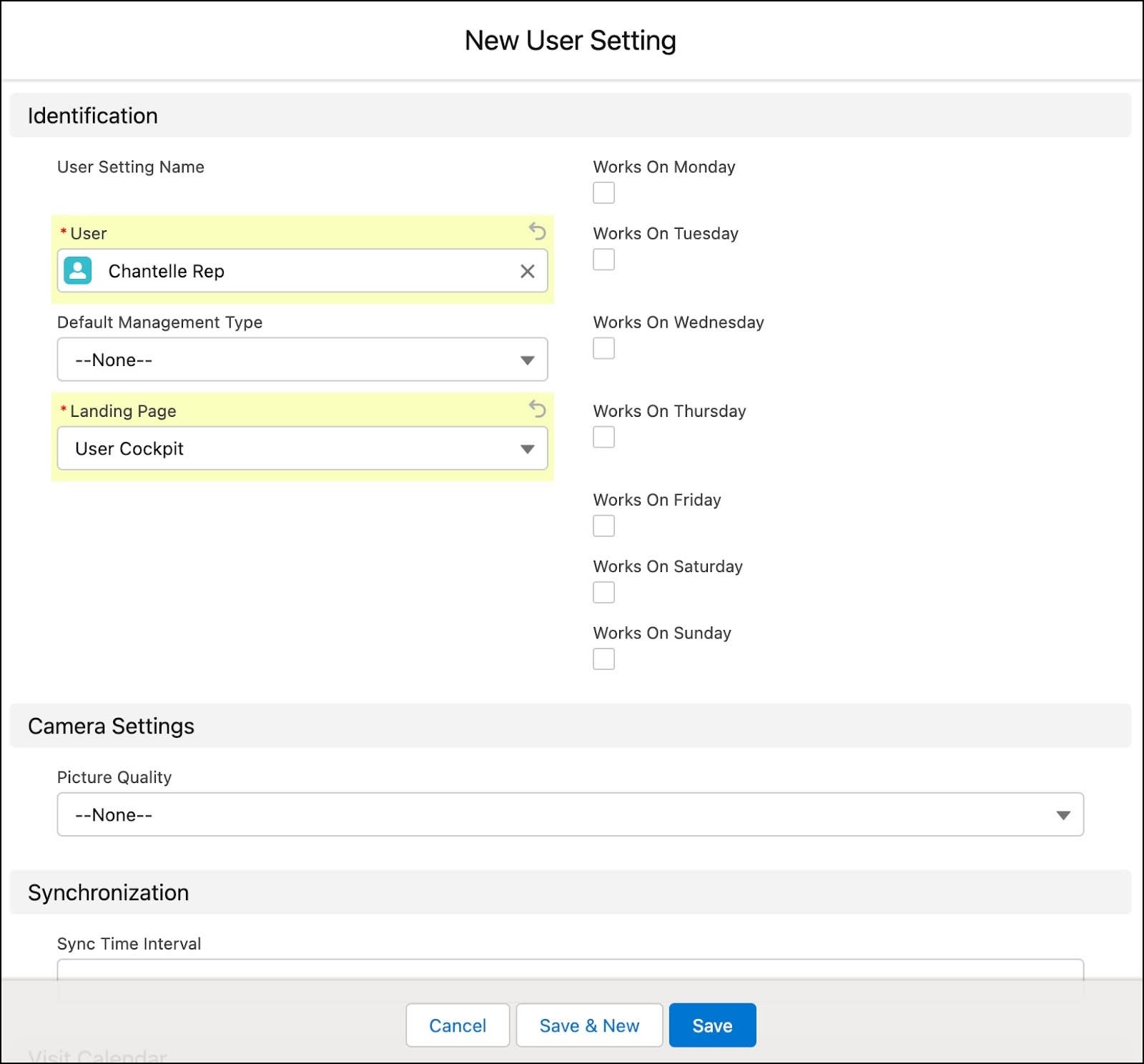 ユーザー設定レコードを作成するためのオプションが表示されている [New User Setting (新規ユーザー設定)] ウィンドウ。