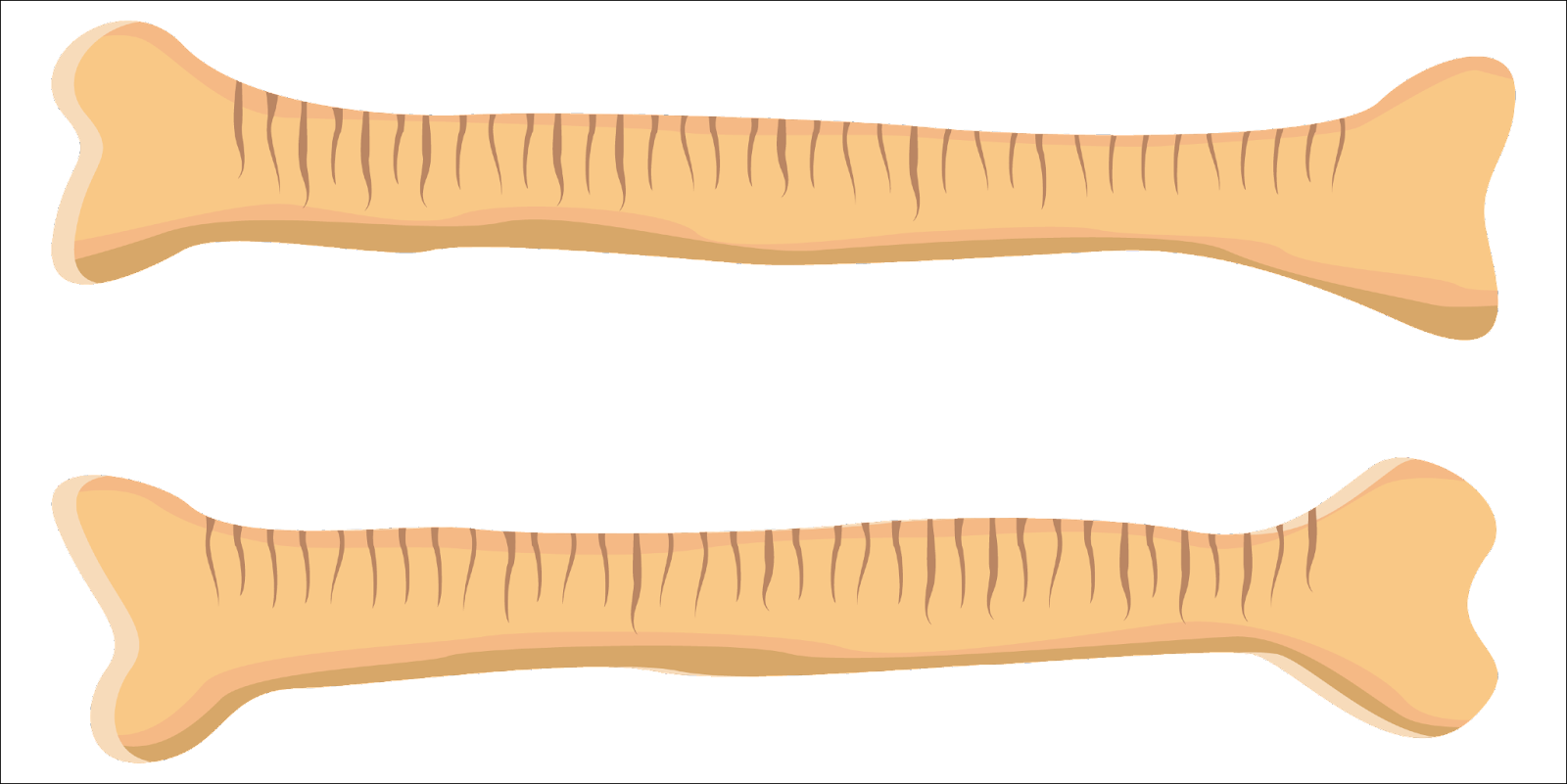 Markings on bones to indicate trading activities.