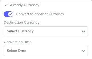 The options available after turning on Convert to Another Currency.