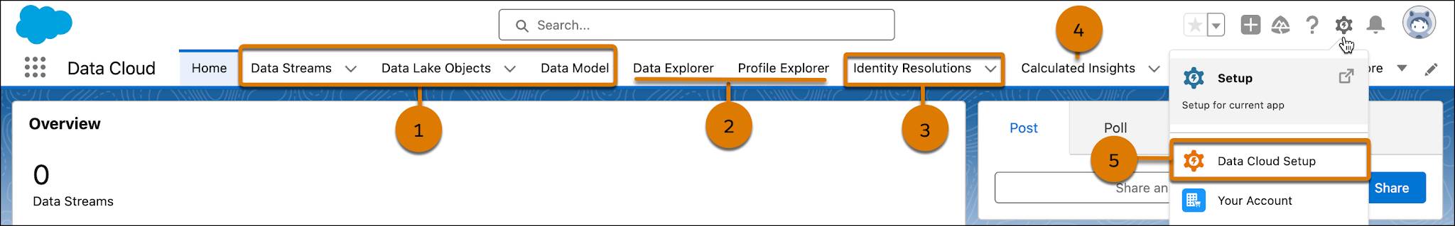 Data Cloud home page with tabs identified.