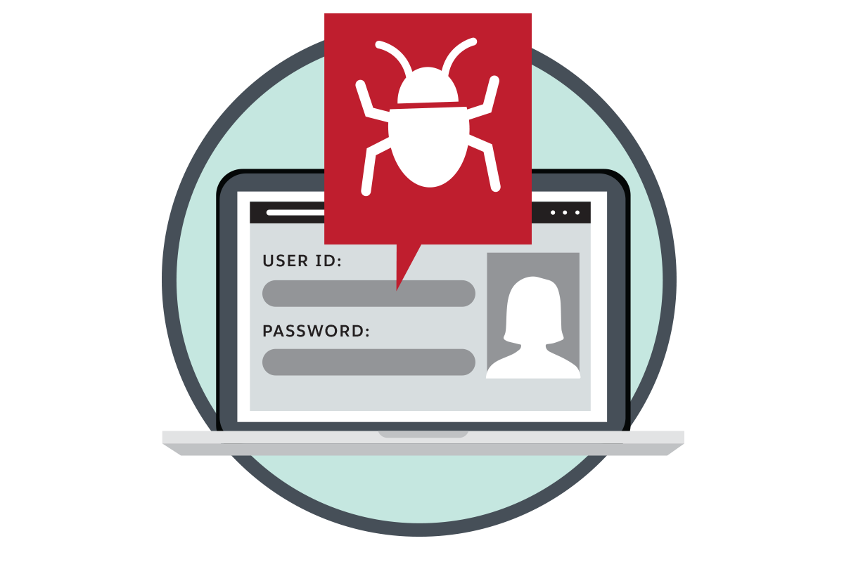 Una pantalla de computadora cubierta por un insecto.