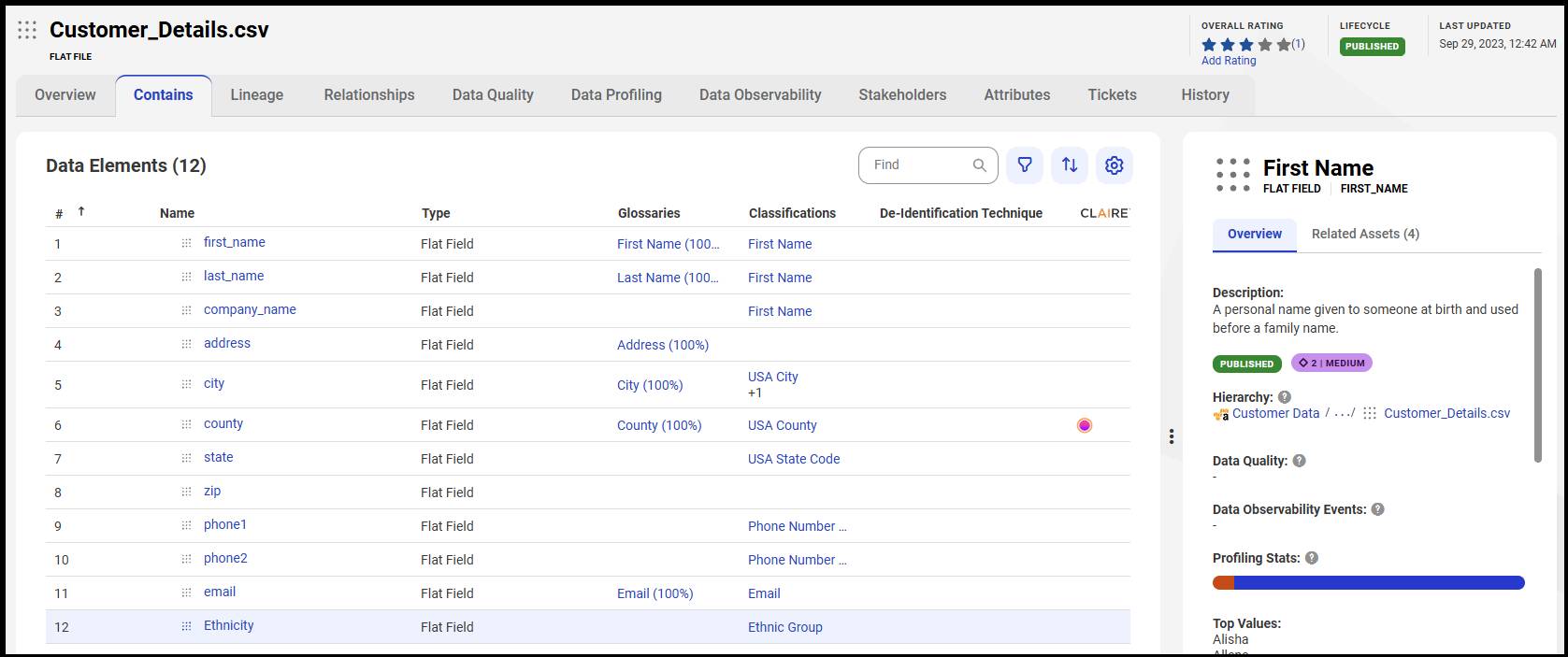 Contains tab includes data elements with classification labels for Customer_Details.csv.