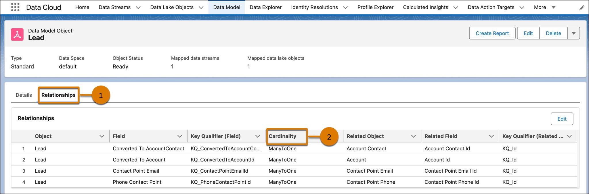 DMO Lead shown under the Data Model tab with the Relationship and Cardinality sections highlighted.
