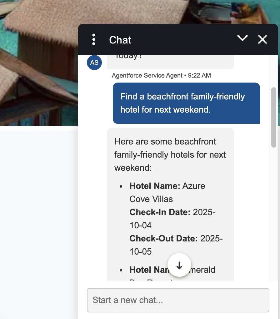 Chat provides available hotels for the following weekend.