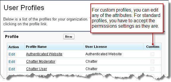 Una lista de los perfiles de usuario que nota: Para los perfiles personalizados, puede modificar cualquiera de los atributos. Para los perfiles estándar, debe aceptar los permisos establecidos tal y como están.