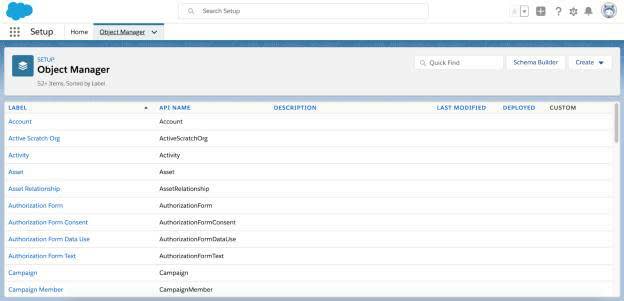 Setup object manager.