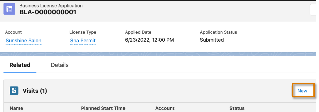 [Business License Application (ビジネスライセンス申込書)] の [Visits (訪問)] 関連リストの [New (新規)] ボタン。