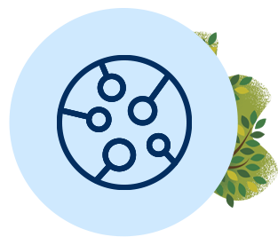 visualization of centralized model