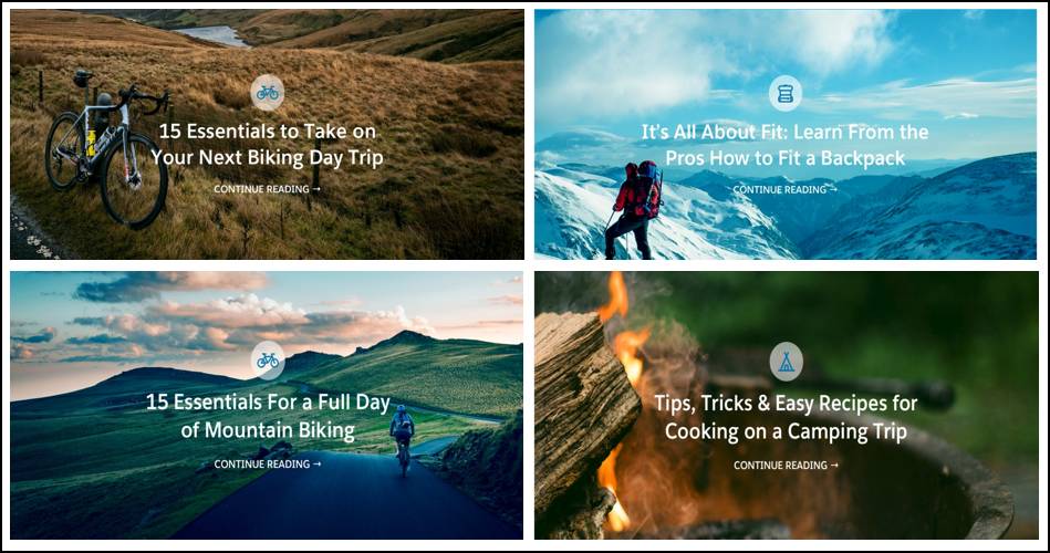NTO のアセットクラス「Article Hero Image (記事のヒーロー画像)」のアセット例。