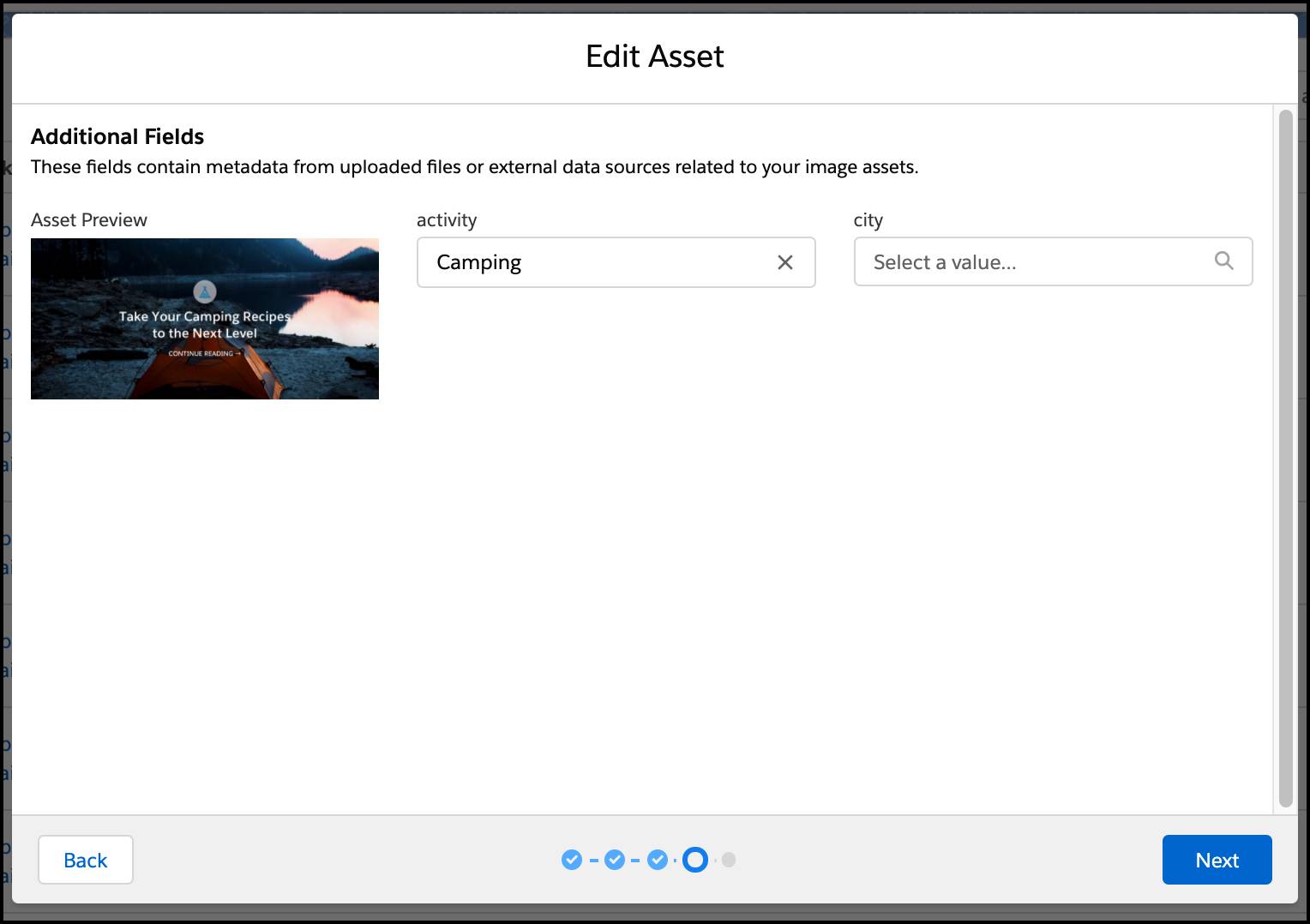 Edit Asset screen with additional metadata fields.