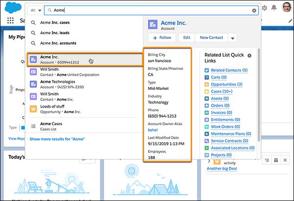 Einstein Search でマウスポインターを置くと表示される情報
