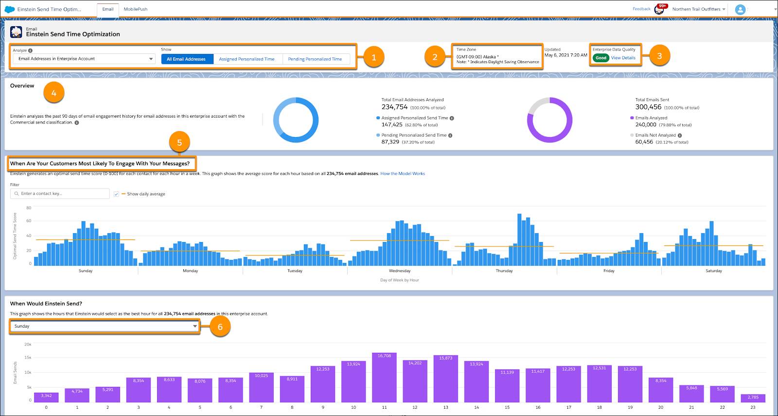 Einstein Send Time Optimization email dashboard with callouts of specific features.