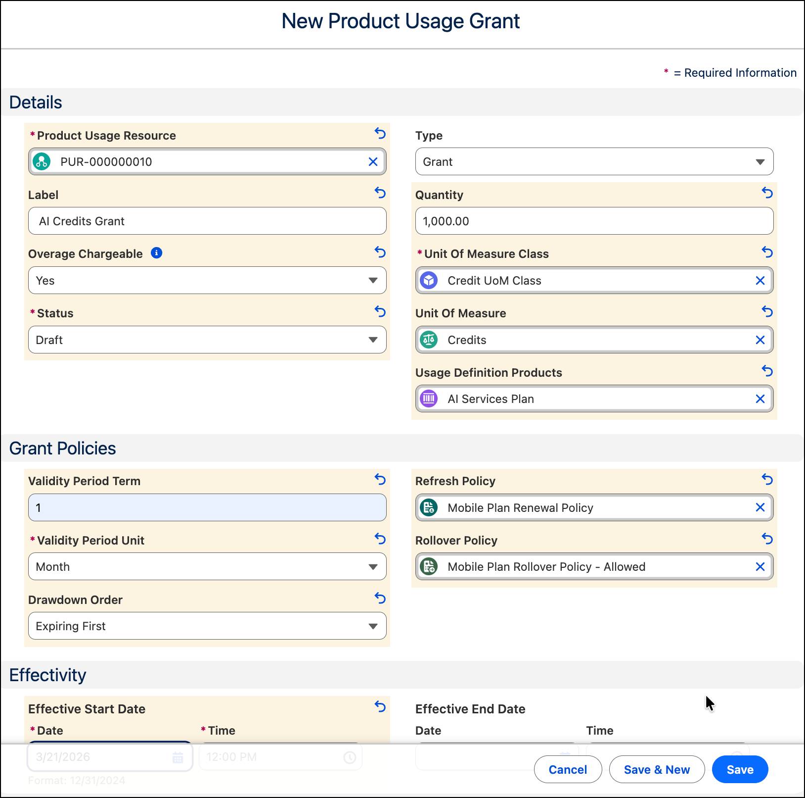 New Product Usage Grant window.