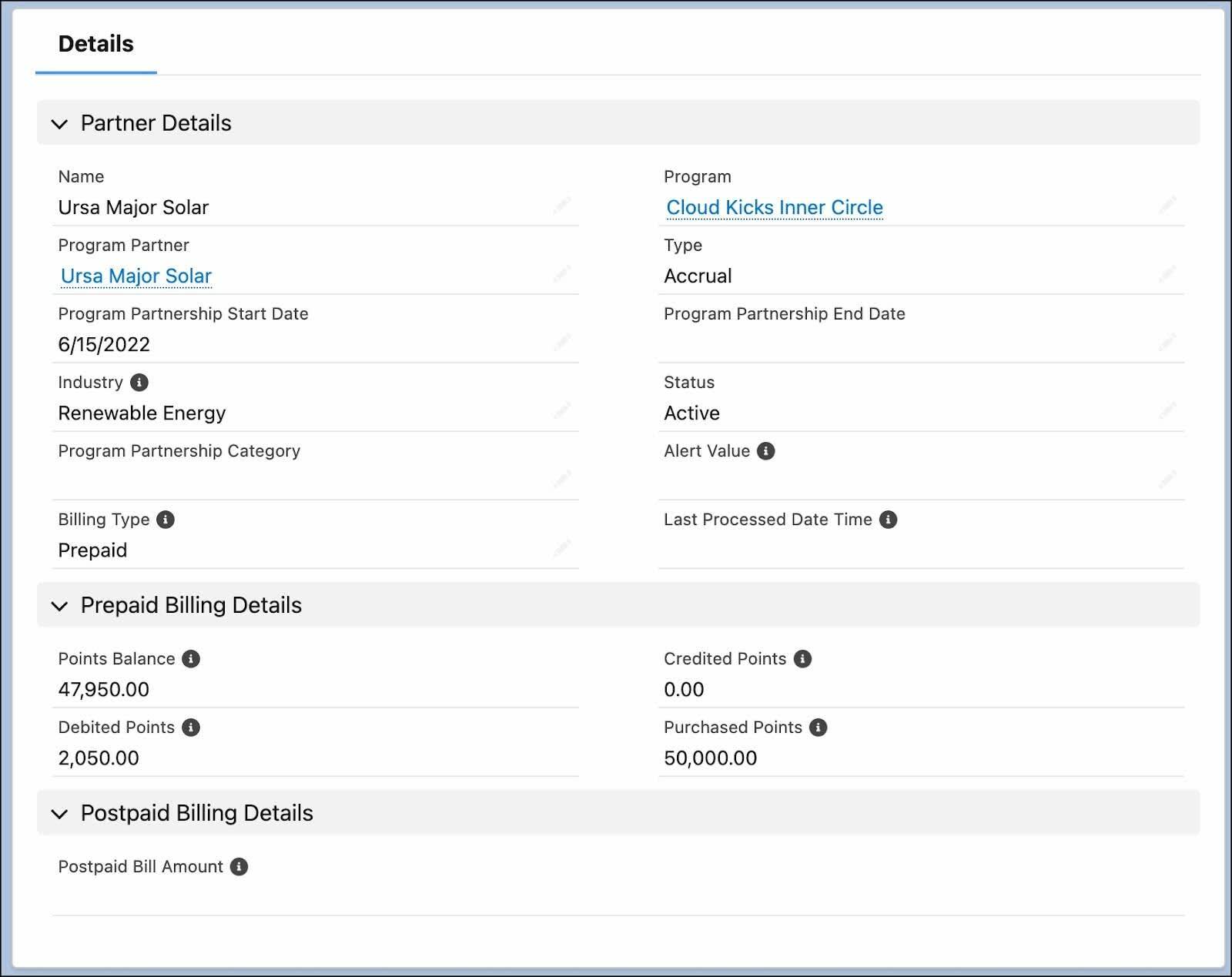 The Details section of a partner record where you can review the partner’s billing details.