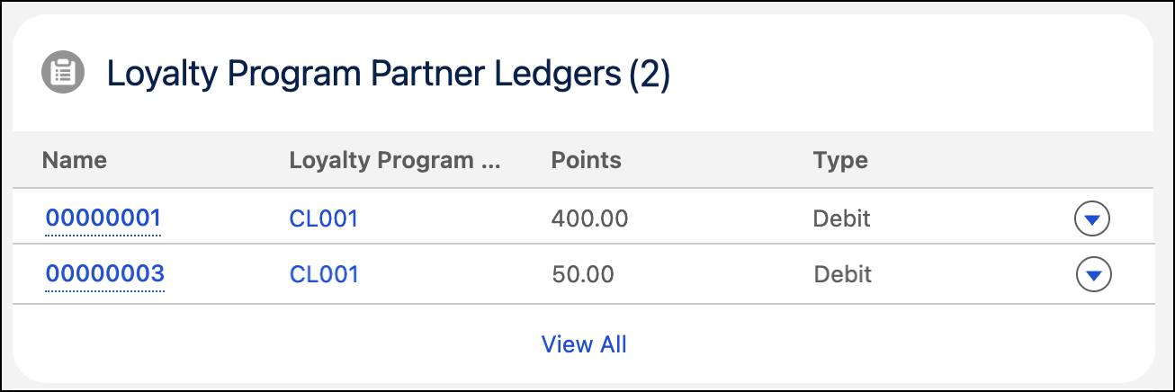 パートナー元帳の詳細を表示できる [Loyalty Program Partner Ledgers (ロイヤルティプログラムパートナー元帳)] カード。