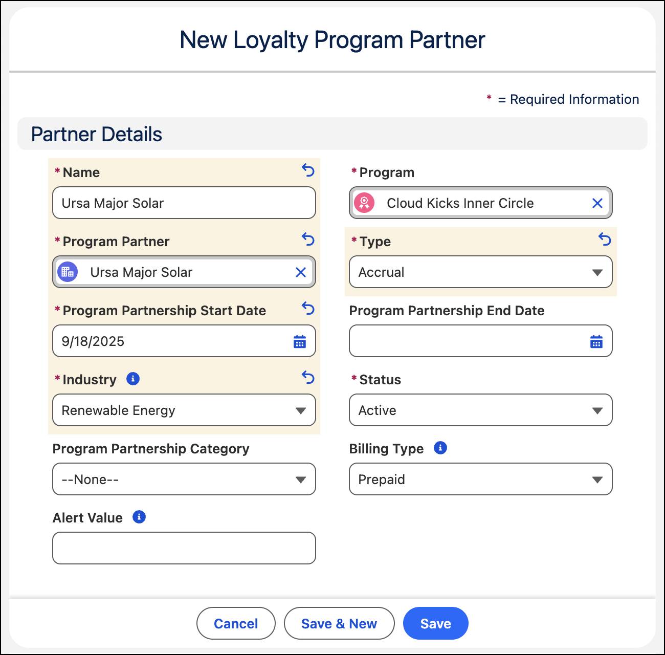 The New Loyalty Program Partner window with the details populated.