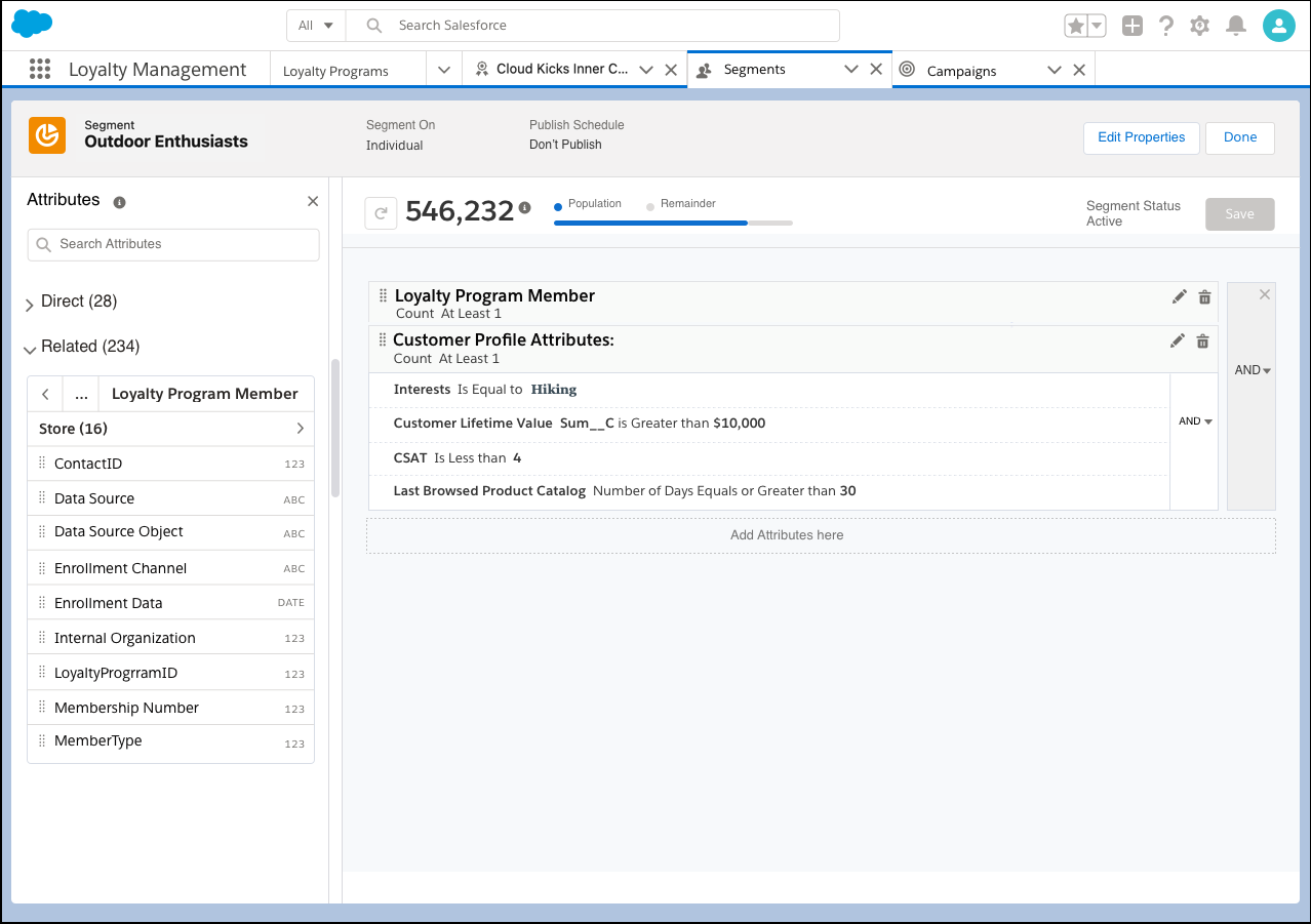 The Segments tab of record Outdoor Enthusiasts where you can add attributes.
