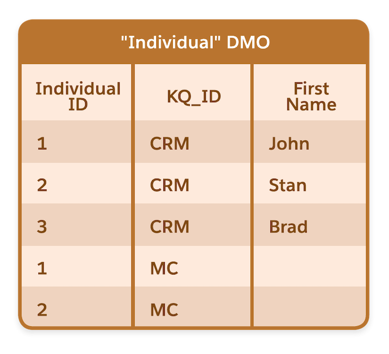 The Individual DMO with a key qualifier column added to show the data source.