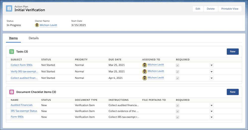 The Action Plan object with Tasks and Document Checklist Items populated