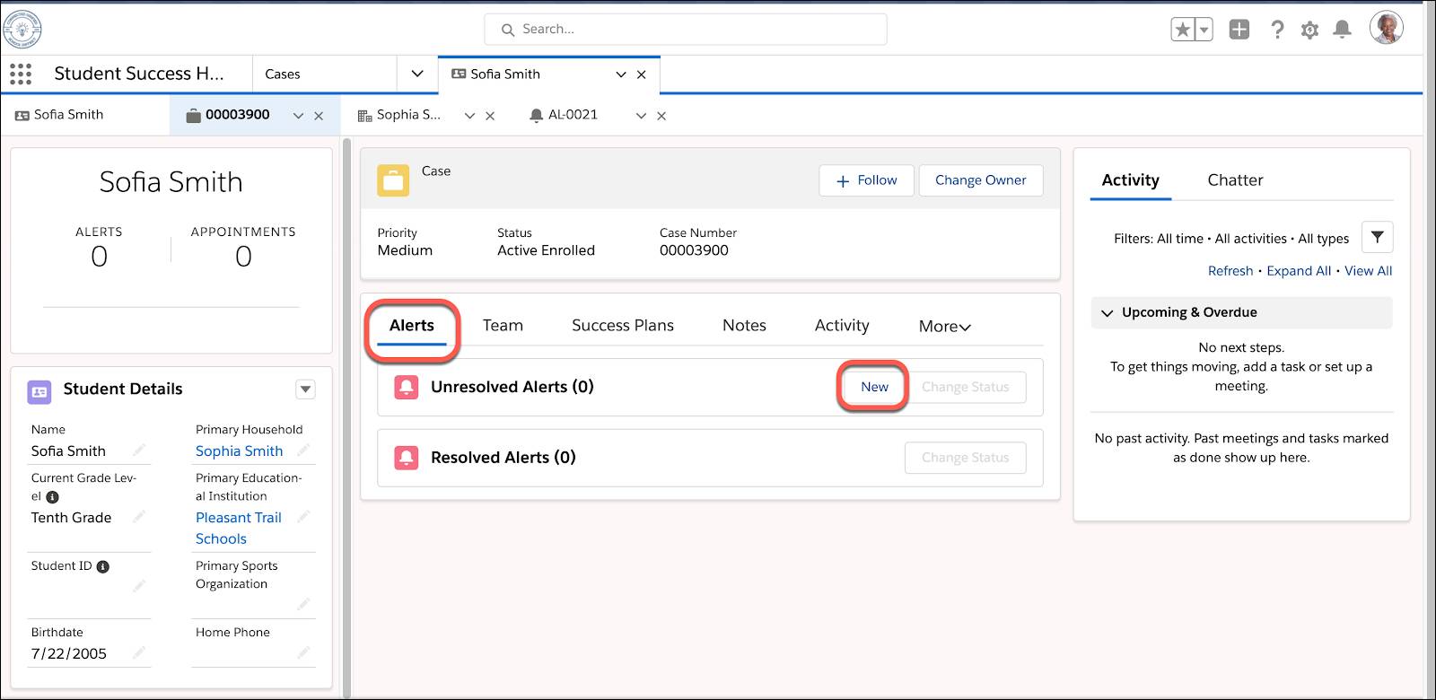 The Alerts tab on the student case record and the New button