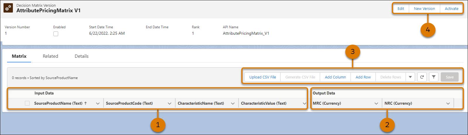 The Matrix tab for AttributePricingMatrix V1.