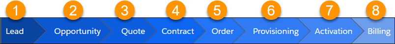 The eight steps involved in the sales process are Lead, Opportunity, Quote, Contract, Order, Provisioning, Activation, and Billing.