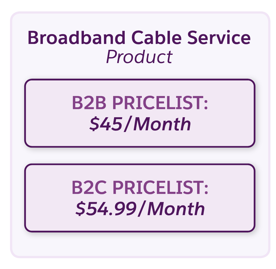 Producto de servicio de cable de banda ancha con precios separados para clientes B2B y B2C.