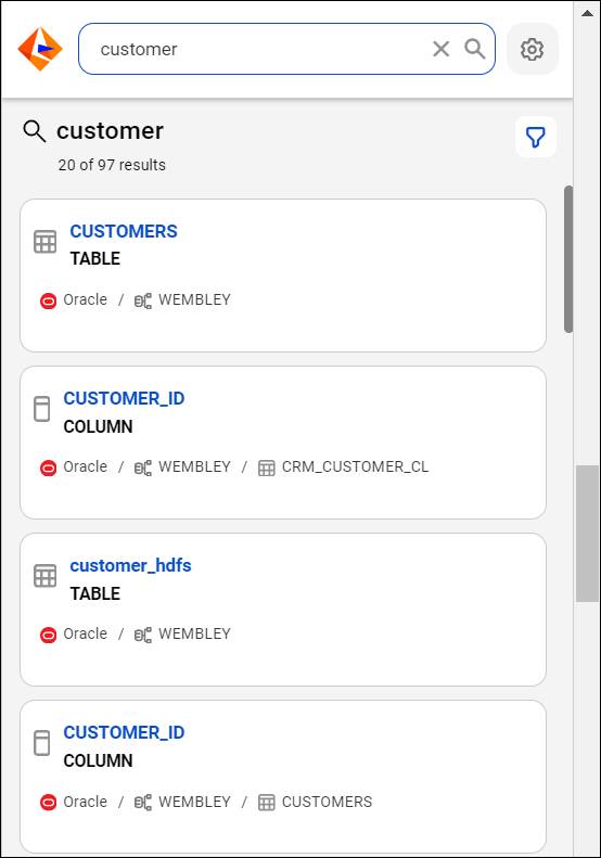 The Informatica QuickLook extension opened in the browser toolbar showing search results for a keyword query for ‘customer’.