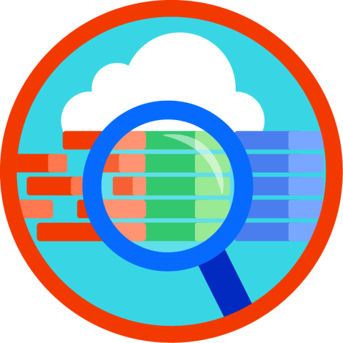 Informatica Cloud Data Quality Basics