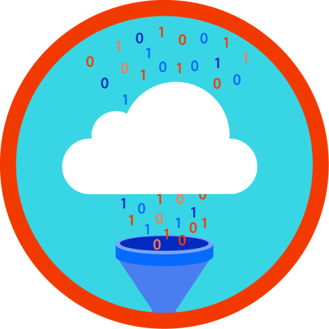 Informatica Intelligent Data Management Cloud Basics
