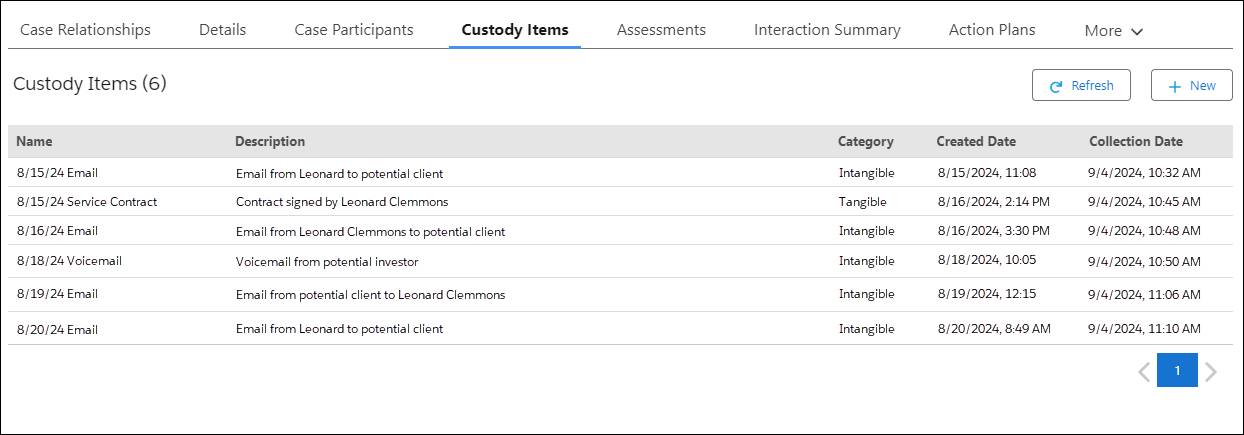 Custody Items tab of case record.