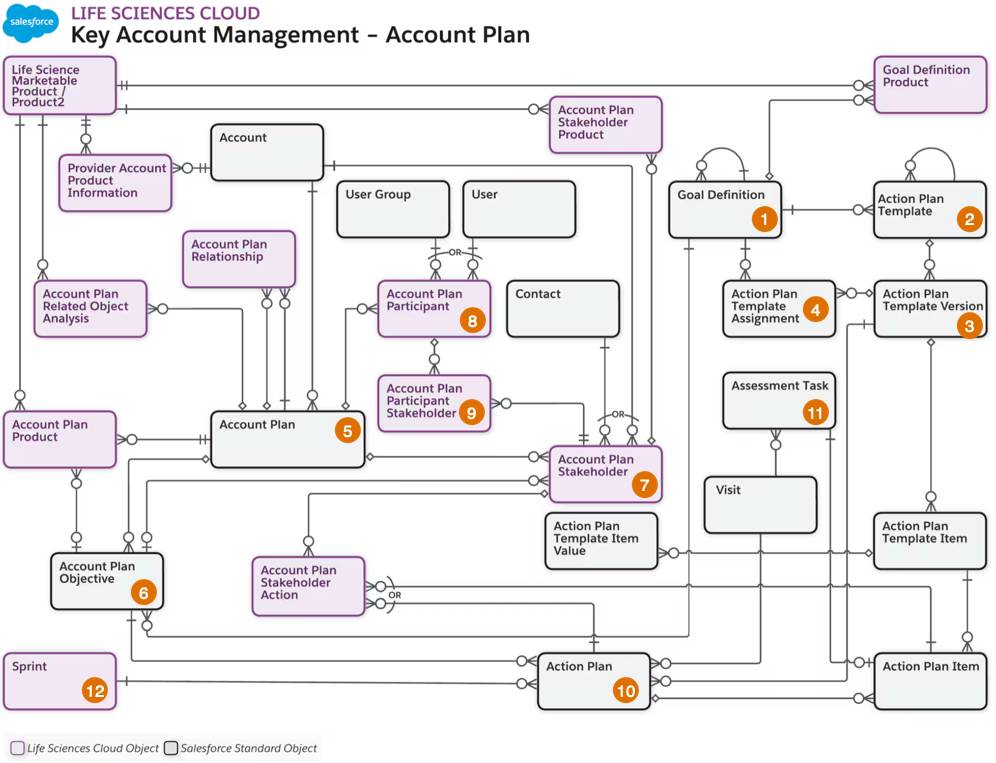 The Account Plan data model.