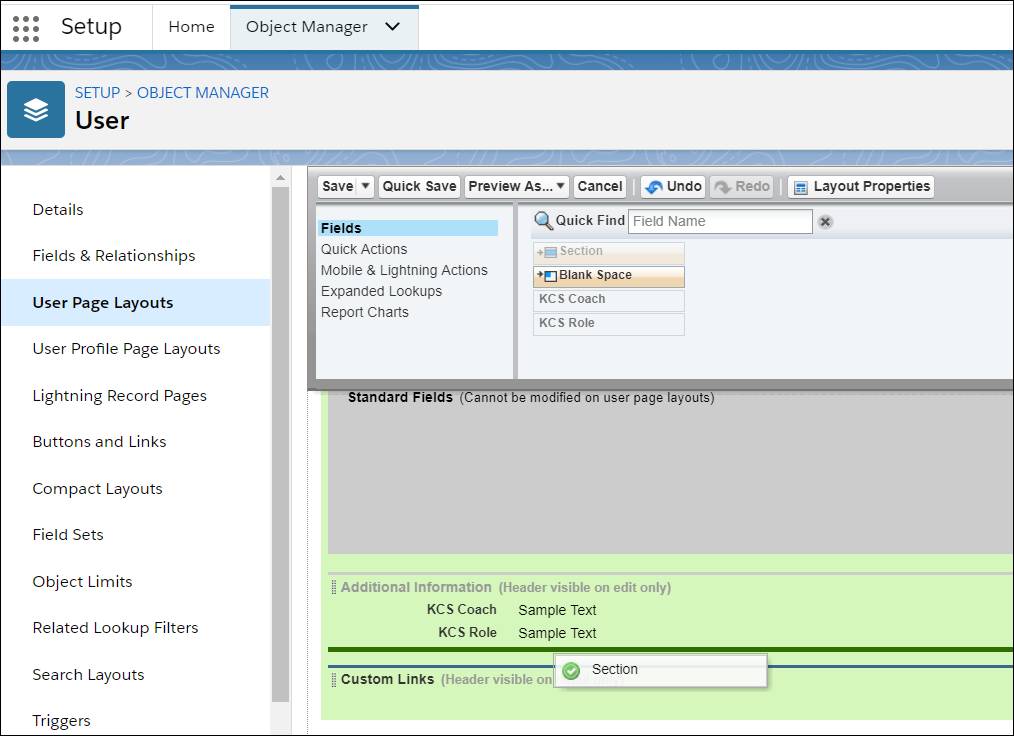 Page layout editor showing Section dragged underneath Additional information.