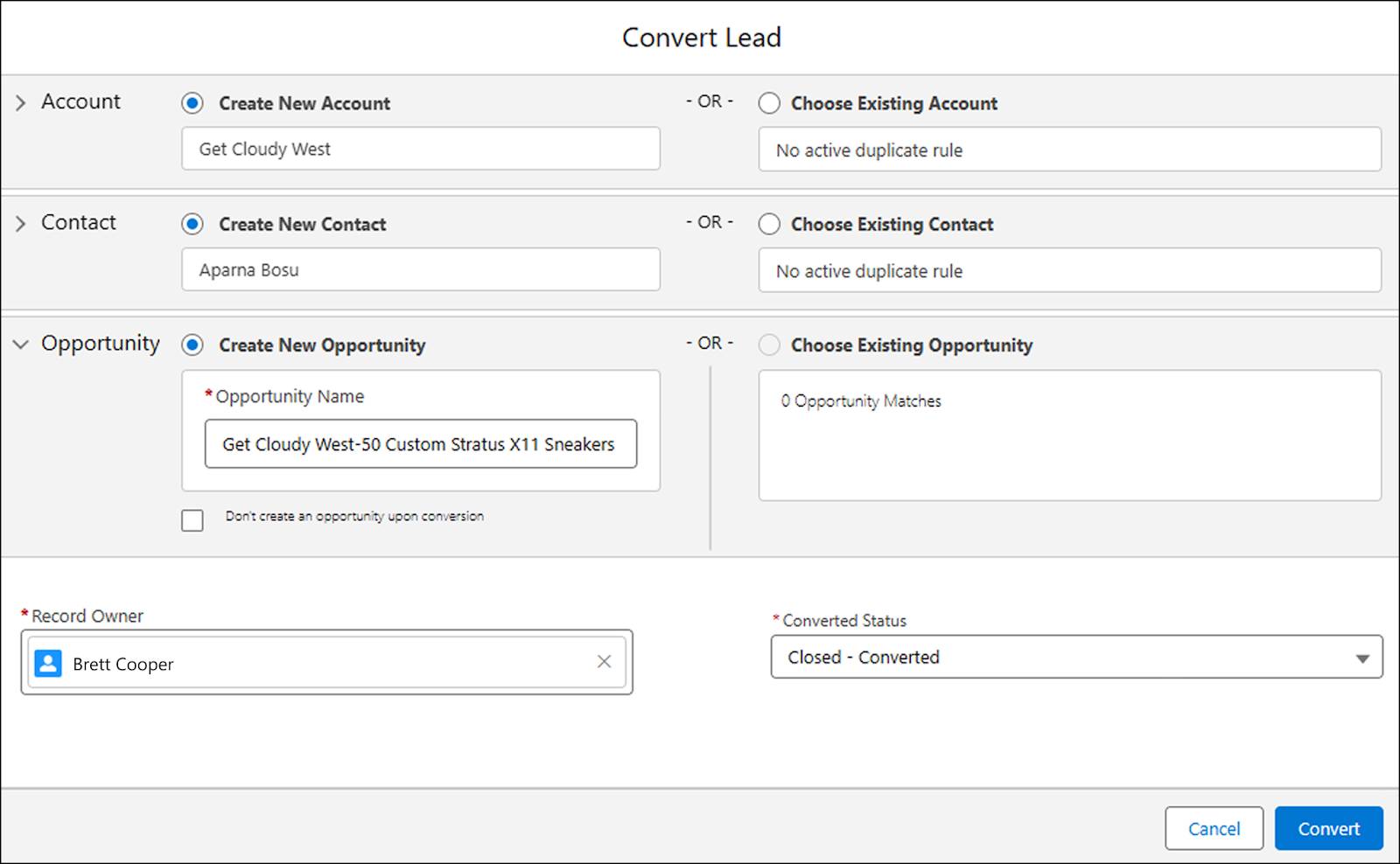 La pagina Convert Lead (Converti lead) con le informazioni sull'account, sul referente e sull'opportunità prima della conversione.