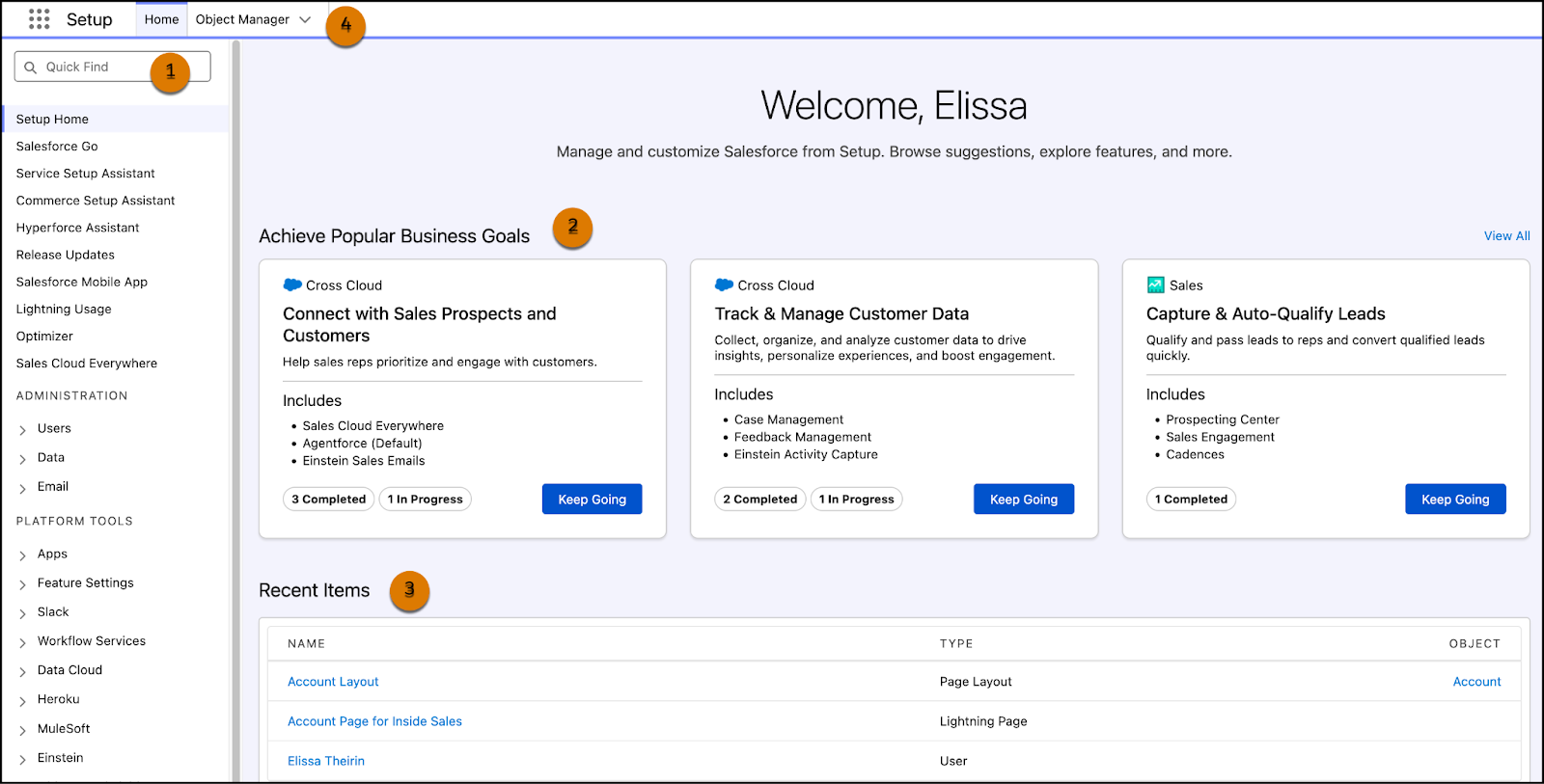 Accueil de la Configuration dans Lightning Experience