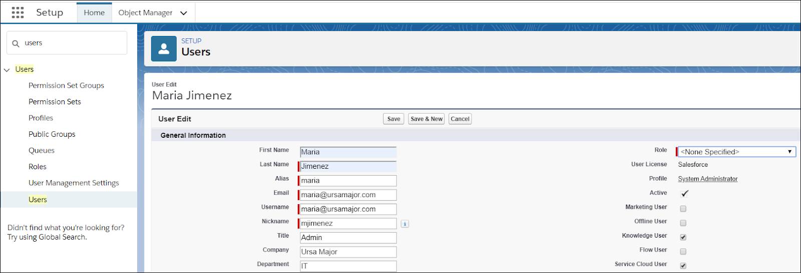 Setup screen showing the steps Maria took to assign herself a Knowledge User license.