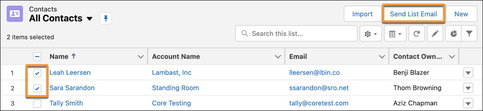 Two contacts selected on a List View and the Send List Email button highlighted.