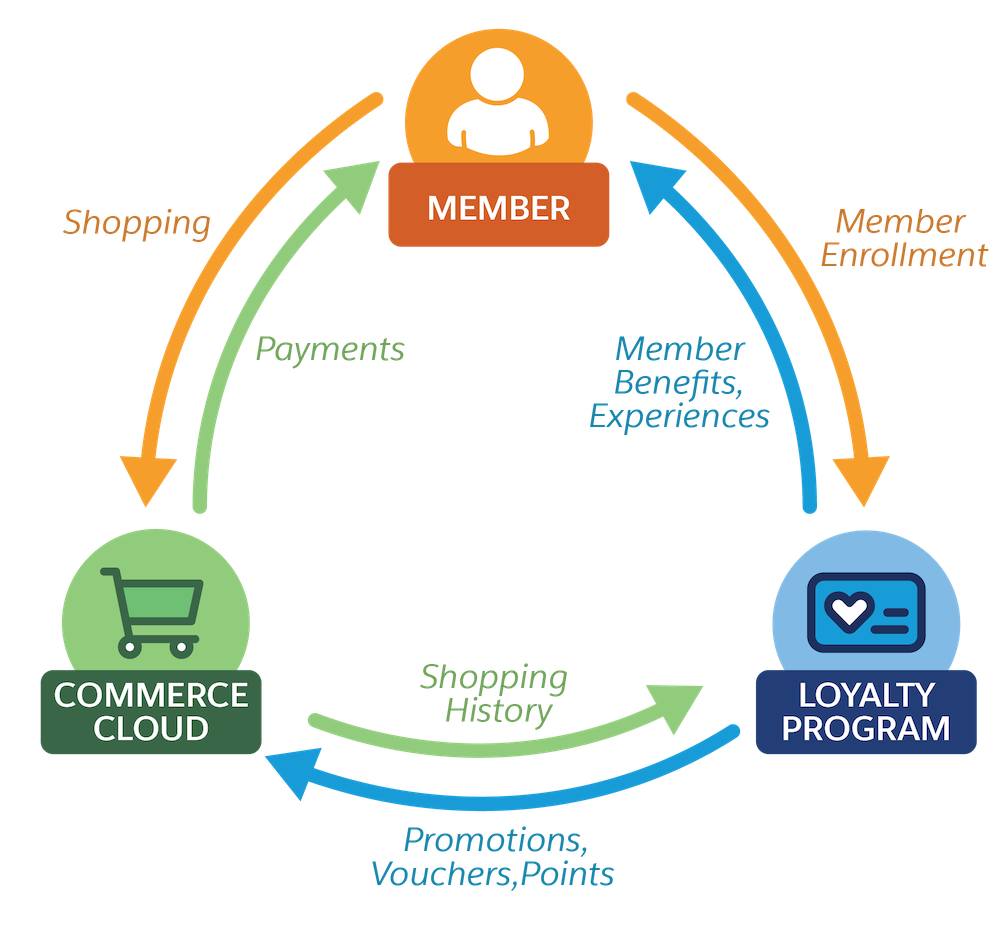 A graphical representation of how members, partners, and the program interact with one another