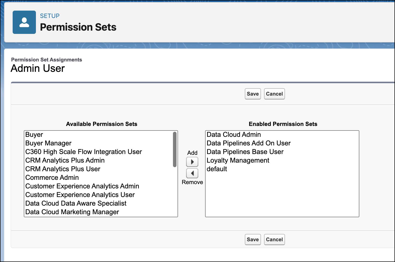 The Permission Sets page where you enable permission sets.