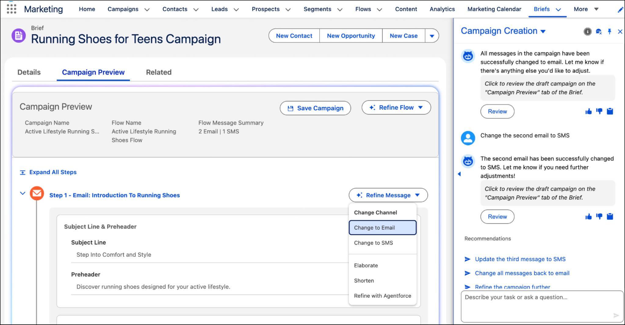 Agentforce Campaign Creation agent refining a multi-step campaign preview.