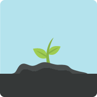 Salesforce アプリケーションを表す少し成長した植物