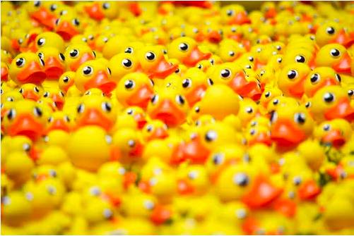 Pile of rubber ducks.