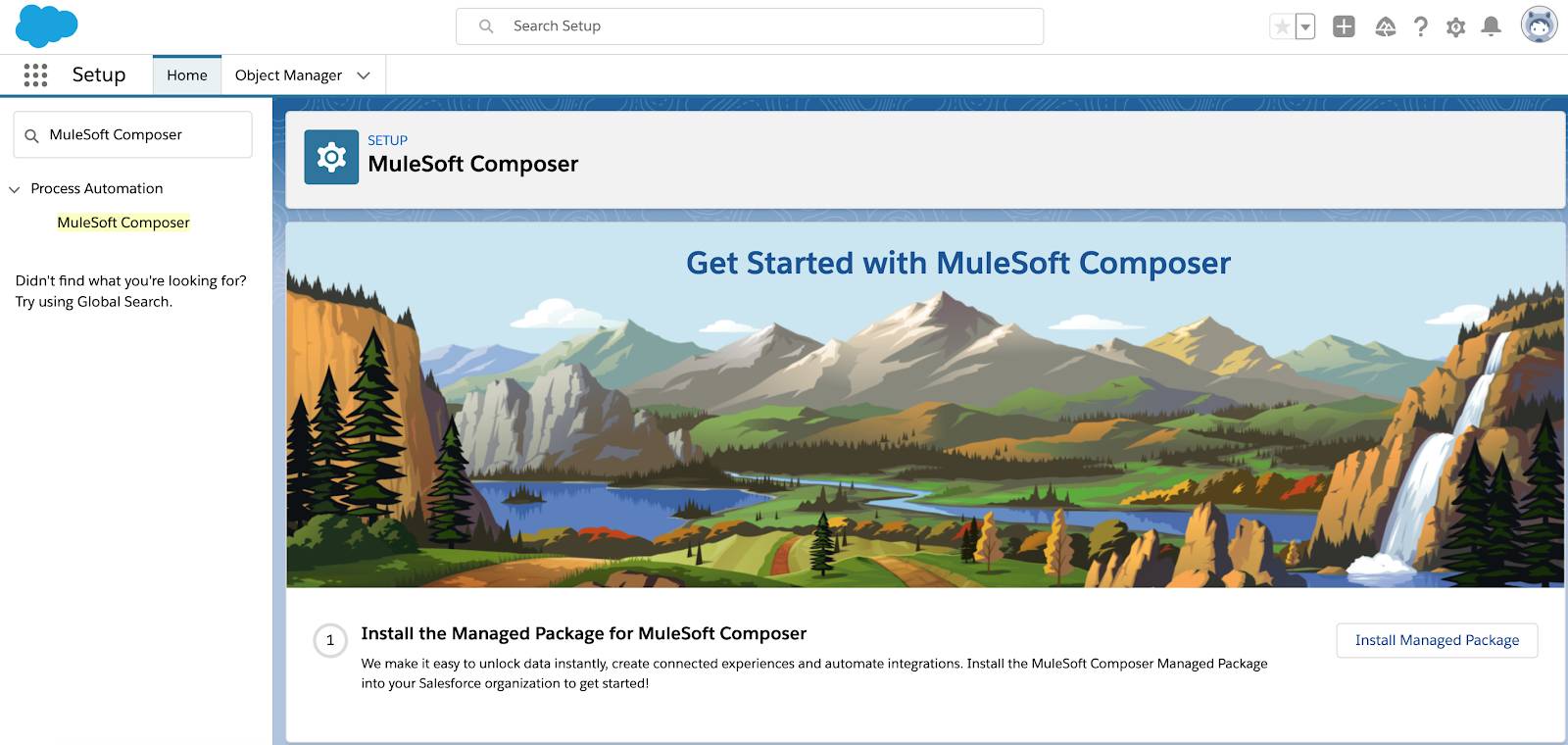 MuleSoft Composer Setup page with mountains, river, and waterfall.