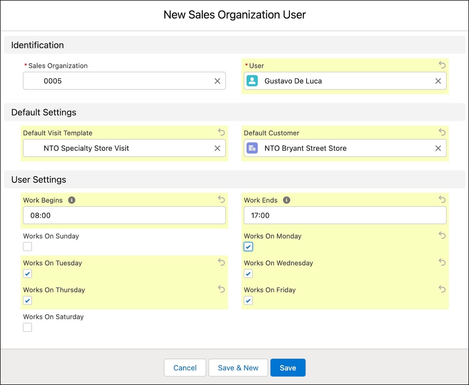 The New Sales Organization User window showing the options to add a user to a sales org.
