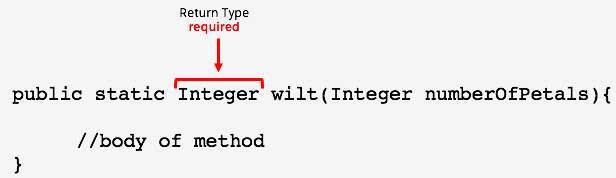 public static Integer wilt (Integer numberOfPetals){ //body of method}