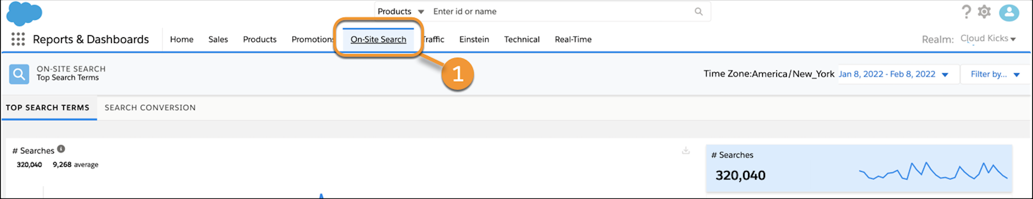 Reports & Dashboards Tabs with the Search Tab highlighted.