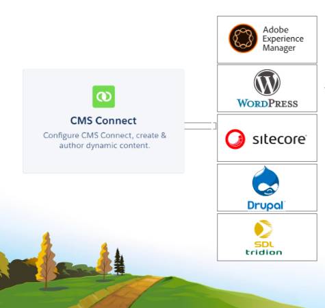 O CMS Connect permite criar conteúdo com o CMS de sua preferência, incluindo Adobe Experience Manager, WordPress, Sitecore, Drupal, SDL Tridion