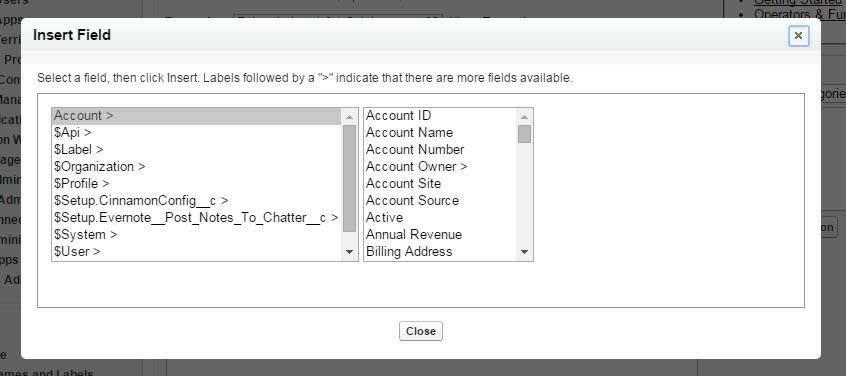 The Insert Field menu.